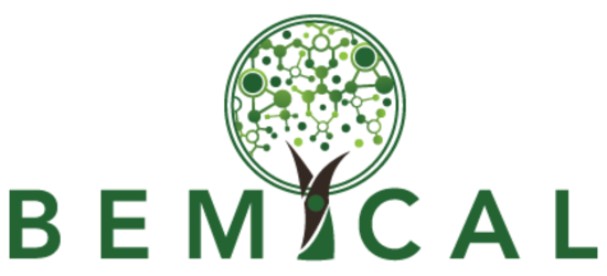 Bemical Logo